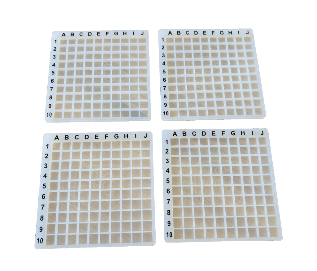 4 Grids with Guides 10×10