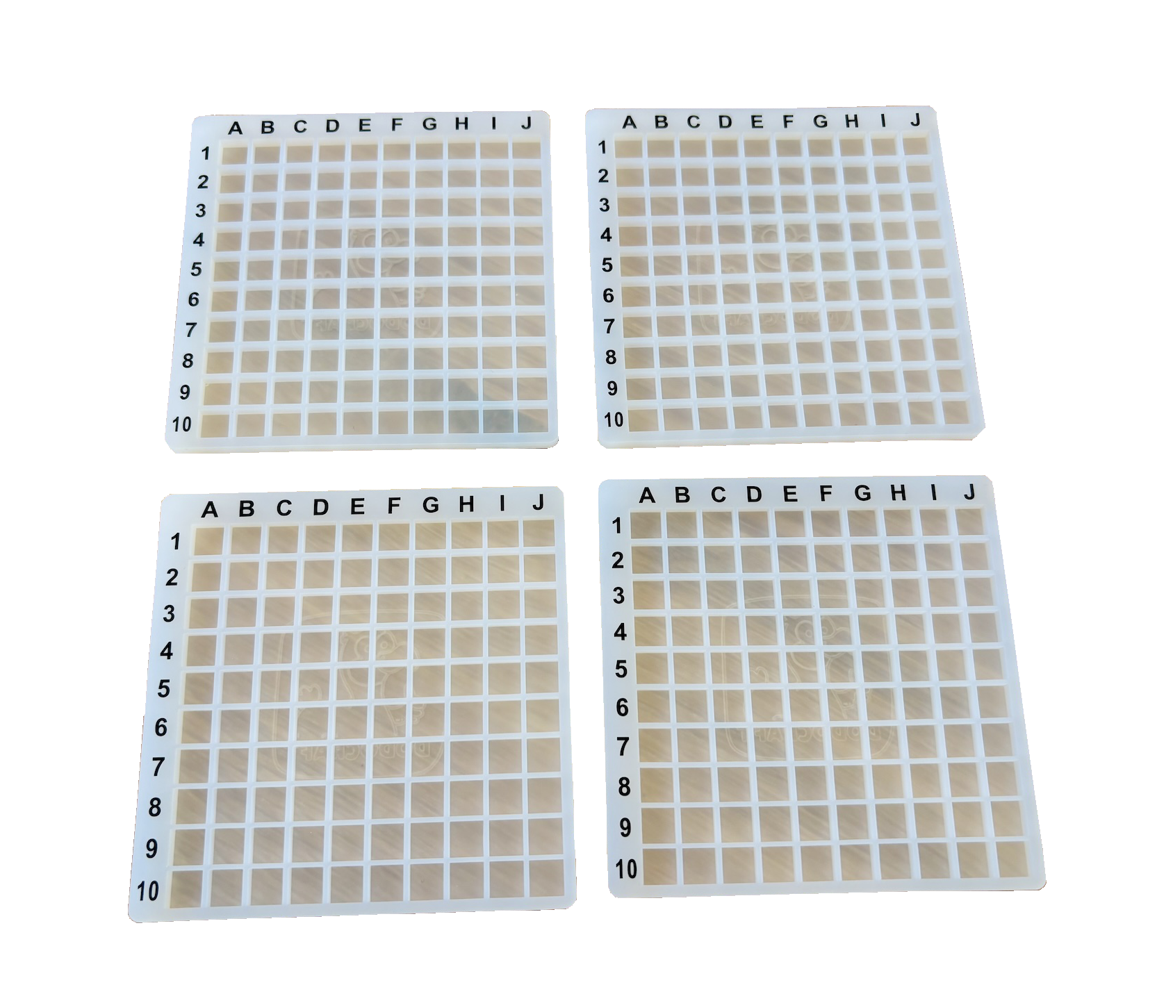 4 Grids with Guides 10x10